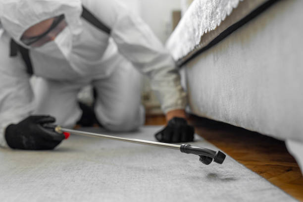 Professional Bed Bug Control technician working in Monmouth, OR