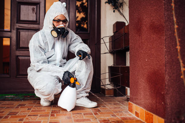 Reliable Bed Bug Control contractor in Monmouth, OR by Nex Pest Control